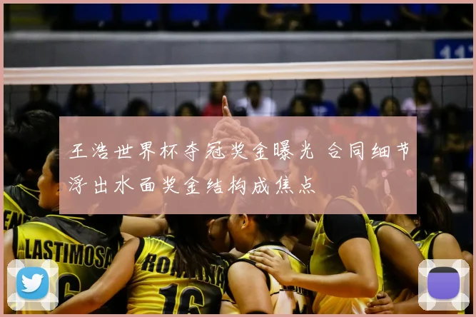 王浩世界杯夺冠奖金曝光 合同细节浮出水面奖金结构成焦点